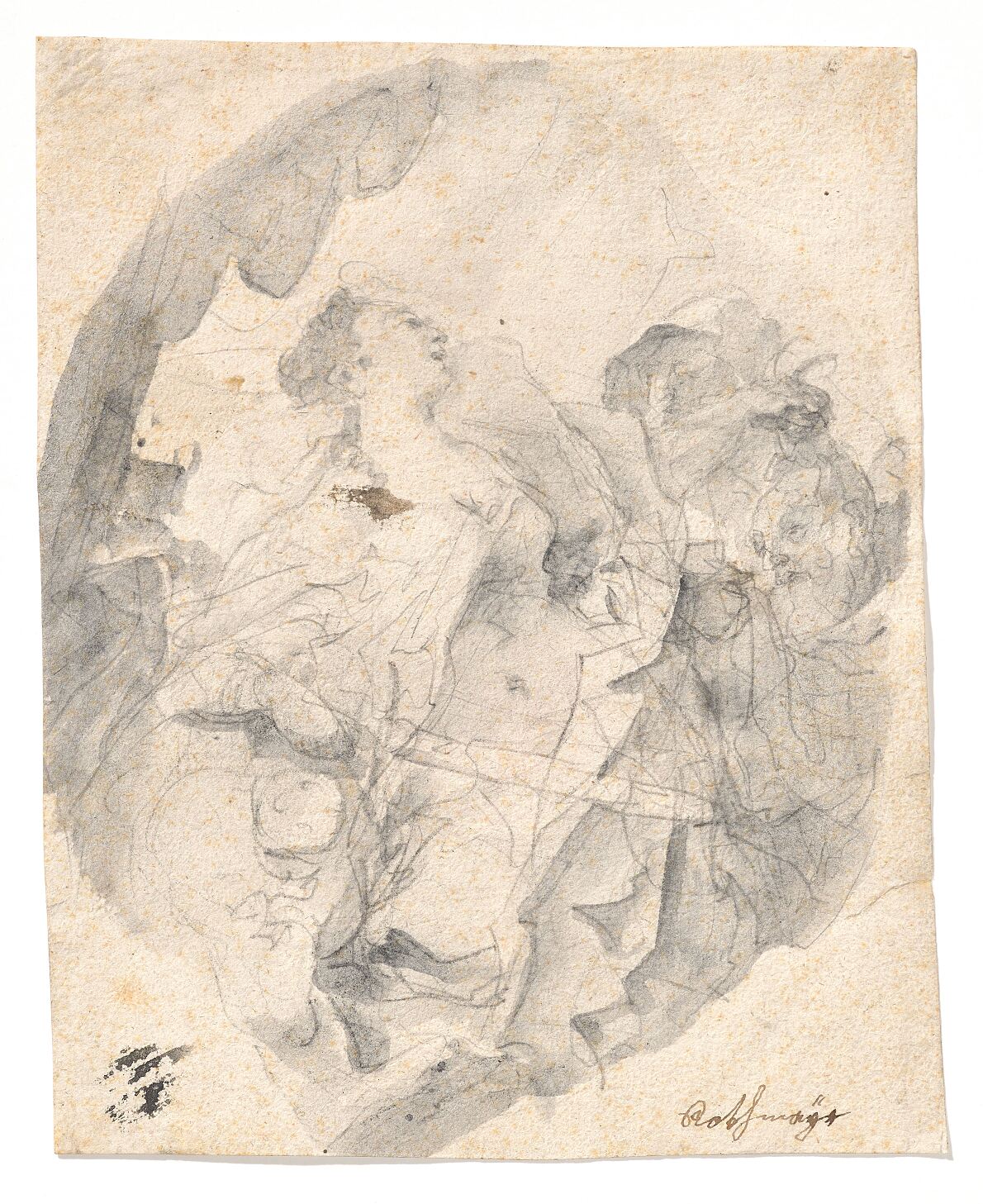 Asam_BD19_c_TLM_Plattner