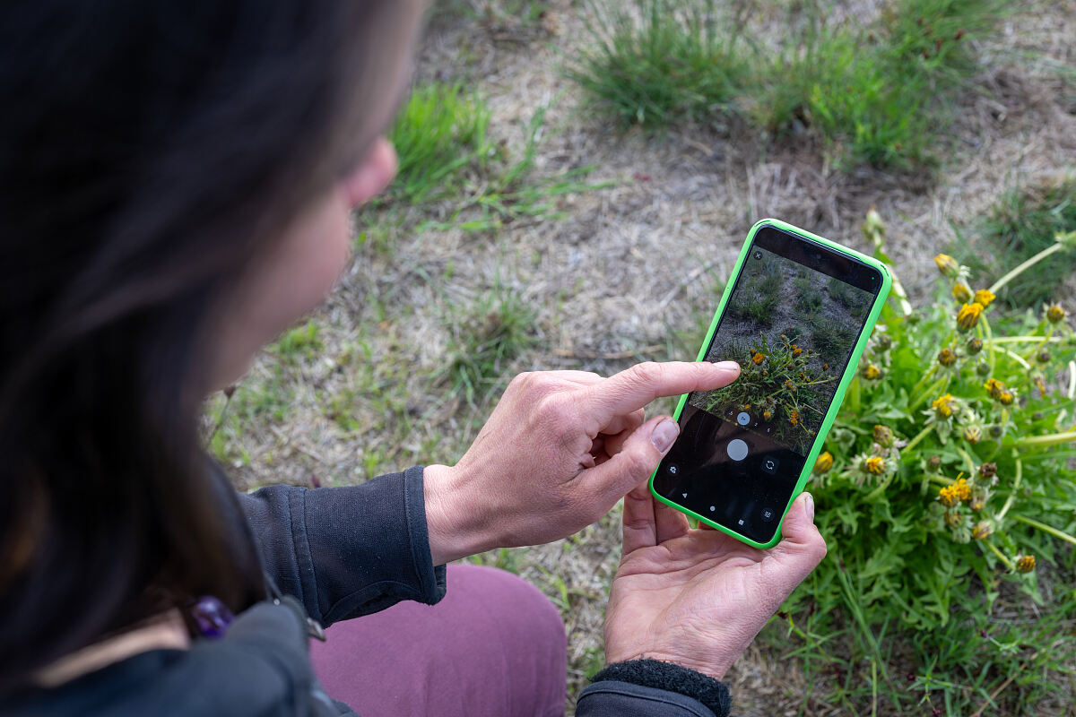 City_Nature_Challenge_2_c_TLM_Paul_Neuner