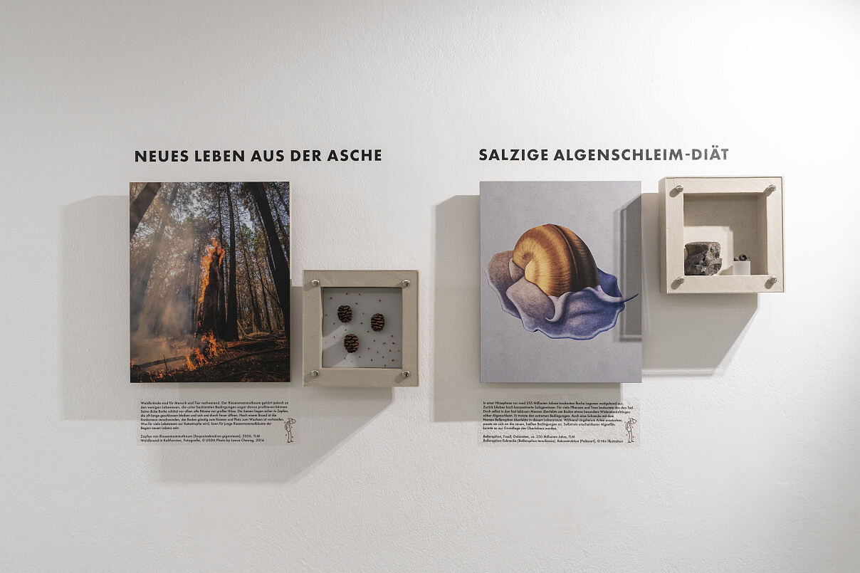 Extrem_5_c_MariaKirchner