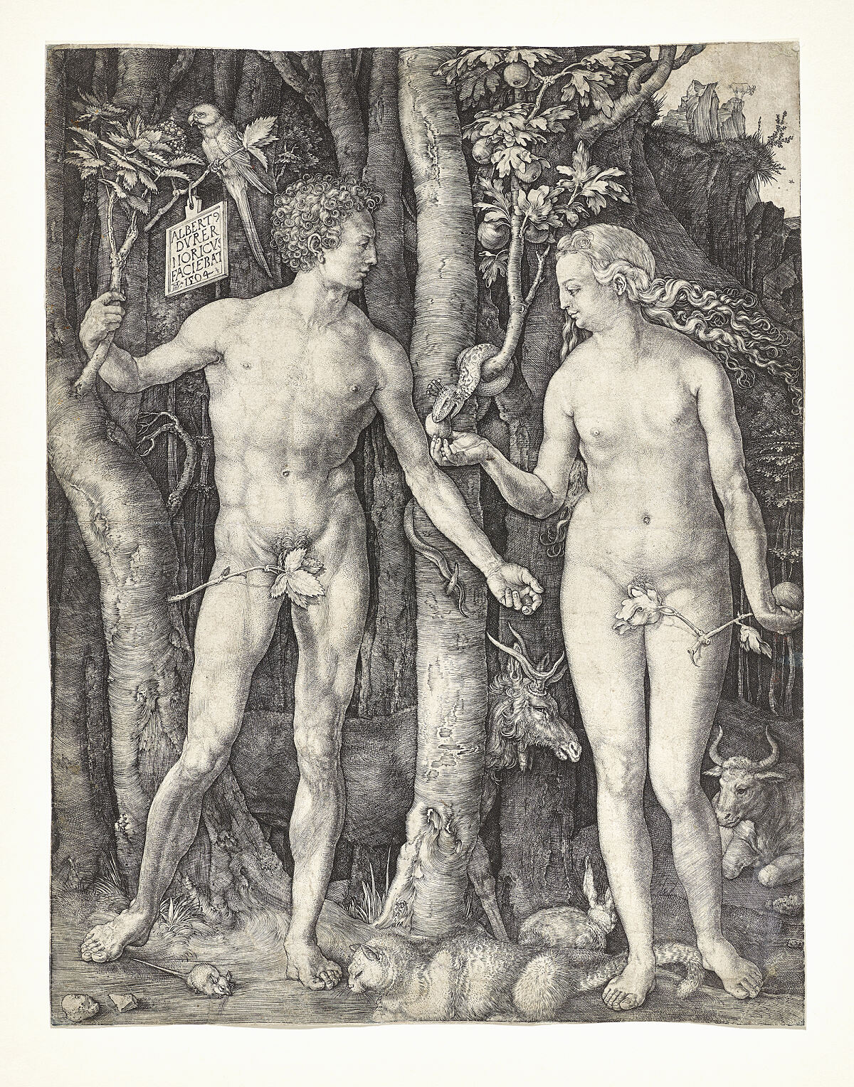 B02_Duerer_c_TLM