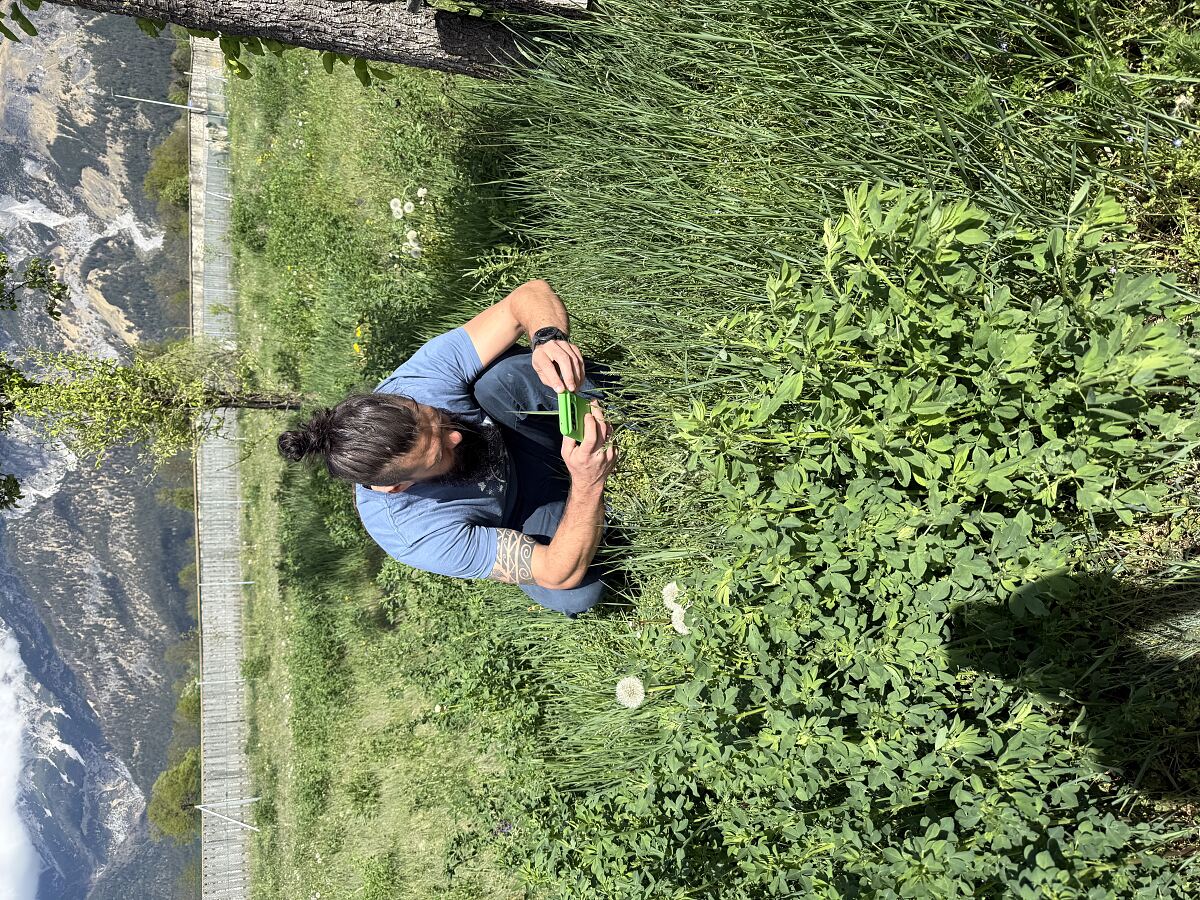 City Nature Challenge
