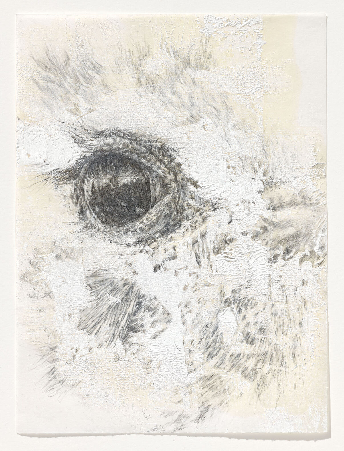 03_Ramona_Schnekenburger-Eyes-2024_c_TLM_Johannes Plattner